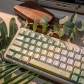 Spring Outing 104+26 PBT Keycaps Set Backlit / Opaque Cherry / QX3 Profile for MX Switches Mechanical Gaming Keyboard